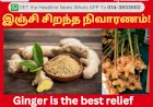 இஞ்சி சிறந்த நிவாரணம்!