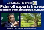 செம்பனை எண்ணெய் ஏற்றுமதி அதிகரிப்பு